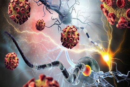 استخراج نتایج جالب از محیط تومور سرطانی با استفاده از یک فناوری جدید