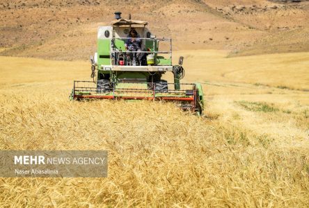 ایجاد ۴ هزار شغل جدید در حوزه زراعت استان سمنان