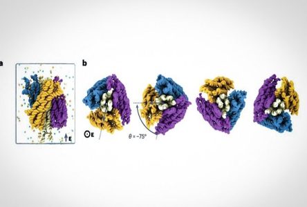 ساخت و ساز کوچکترین الکتروموتور نانویی با استفاده از تکنولوژی DNA