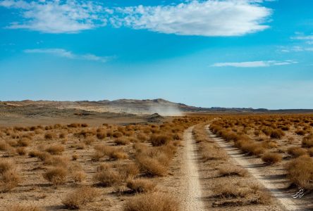 طرح های فناورانه در حوزه دانش مالی بیابان، حمایت می‌شوند.