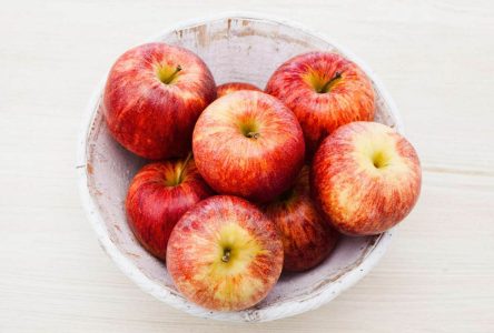 : چگونگی نگهداری بهینه برای سیب به مدت طولانی | راهکار برای همیشه داشتن سیب تازه در خانه