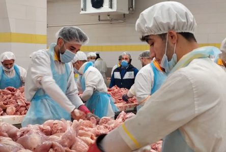 رشد ۱۱ درصدی عرضه گوشت مرغ در بهمن ماه سال ۱۴۰۲