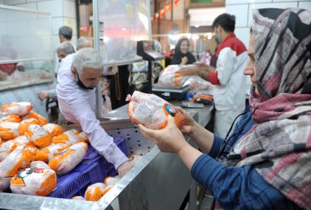 ایجاد شدهای نرخ مهمان در روزهای پیش از ماه مبارک رمضان: قیمت گوشت مرغ به ۸۵.۸۰۰ تومان رسید.