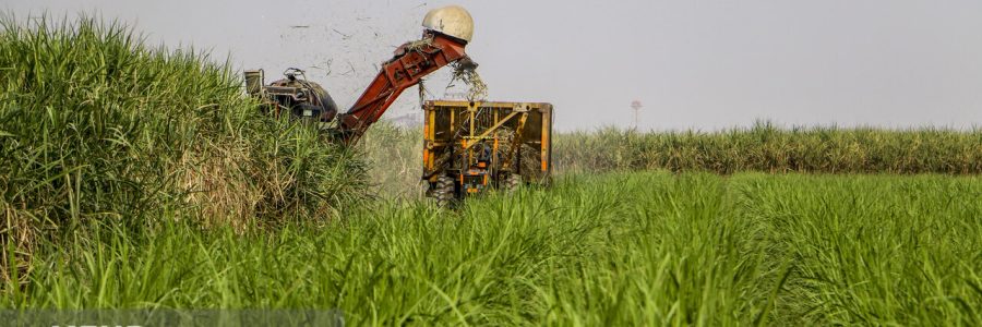 بازدید رییس جمهور از طرح توسعه آبیاری زیرسطحی در خوزستان