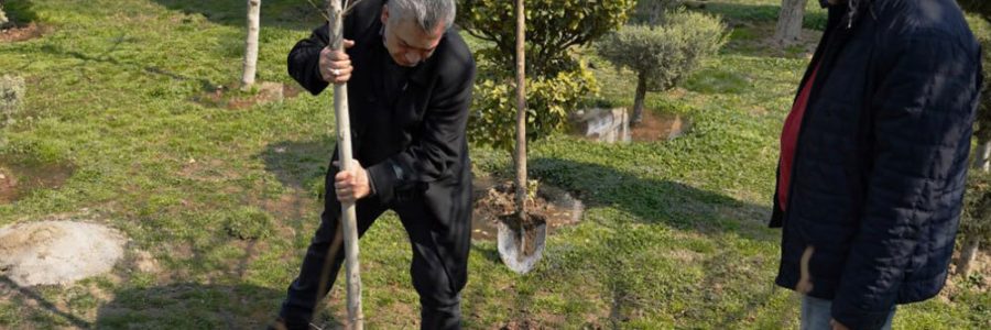 کاشت ۳۰۰ نهال توسط بهمن سبز/ اختتامیه «فارسی سینما» برگزار می‌شود