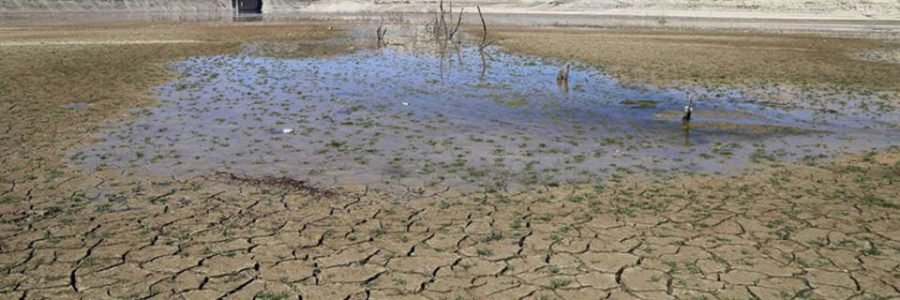 ۴۰۰ دشت ایران در محدوده فرونشست قرمز/ تا ۲۰۴۰ درگیر تنش آبی هستیم