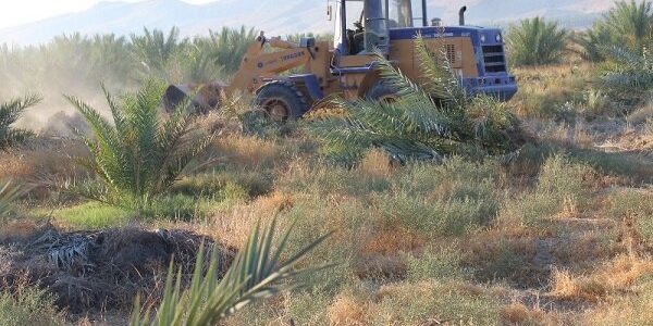 ۶۵ هزار مترمربع اراضی کشاورزی در کلاردشت آزادسازی شد