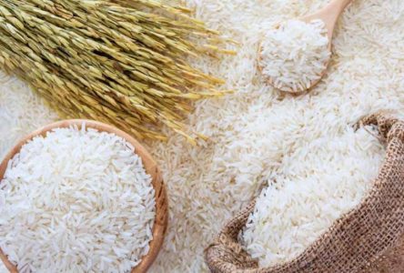 تحدید در ثبت سفارش بازرگانی بین‌الملل برنج