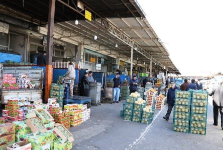 خرید مواد پروتئینی ارزان از بازار میوه و تره بار