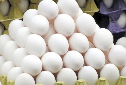 فروش تخم‌مرغ هر کیلو ۵۶ هزار تومان و بالاتر، به عنوان گرانفروشی شناخته می‌شود.