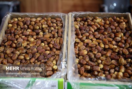 قیمت خرما در بازار میوه و تره بار تهران اعلام شده است.
