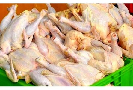 مرغ تره بار با تخفیف ۱۸ درصد در بازار عرضه می‌شود.