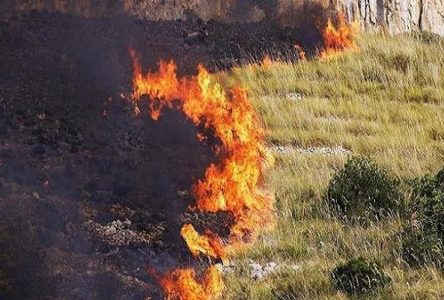 هشدار آتش سوزی در مناطق مرتعی و جنگلی مازندران