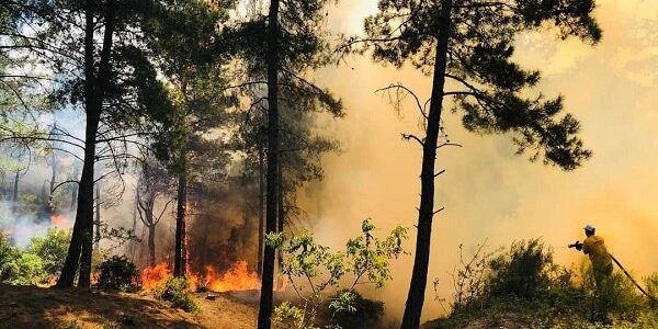 وقوع آتش سوزی در ۳ شهرستان گیلان