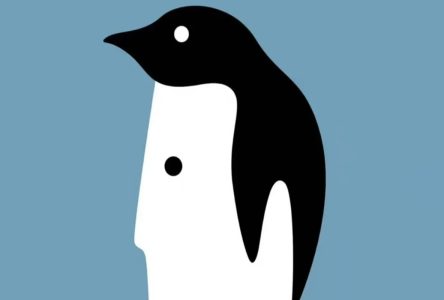چه نگران مهربان یا پنگوئن؟ | شخصیت شما چه کسی است؟