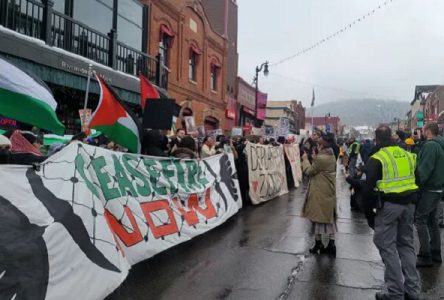 بایدن/ساندرز توسط راهپیمایی، حمایت از فلسطین و مقابله با نسل کشی تأیید شوند!