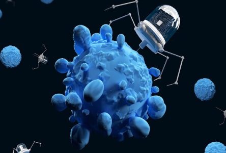 حمله نانوپهپادها به سلول‌های سرطانی