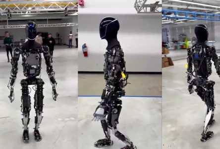 دیدن حرکت ربات انسان‌نما «اپتیموس» در حال راه رفتن