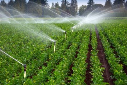 ۱۵۰۰ هکتار زمین زراعت در خوزستان به سیستم آبیاری مدرن تجهیز می‌شود.