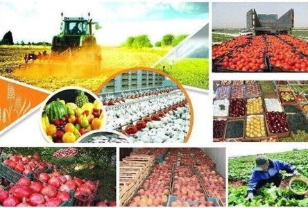 ۶۸ درصد محصولات زراعت ایران توسط ۵ کشور خریداری می‌شود.