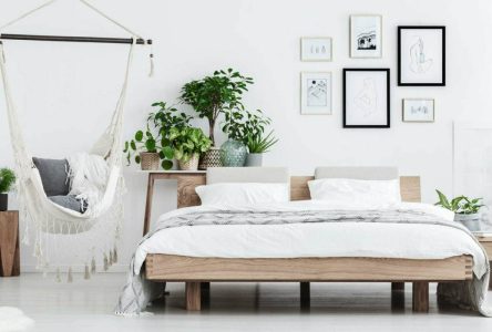 استفاده از 17 ایده برای زیباسازی بالای تخت خواب با گیاهان آپارتمانی برای خواب آرامشبانگشتی