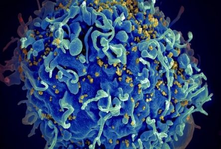 ساخت منازعه‌افزار جدید برای مقابله با اچ‌آی‌وی
