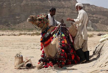 مشاهده شکوه سیستان و بلوچستان در برنامه های مستند شبکه