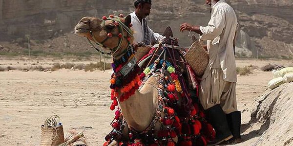 تماشای شکوه سیستان و بلوچستان در قاب شبکه مستند 