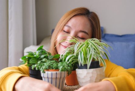 ۷ دلیل علمی برای خوشحالی بیشتر با گیاهان آپارتمانی