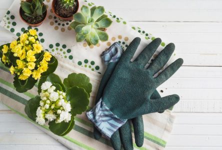 راهنمای شستشوی مختلف دستکش‌های باغبانی | از عدم توجه به تمیز کردن آن‌ها بپرهیزید