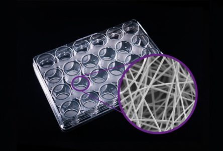 ایجاد داربست سه‌بعدی برای رشد سلول‌های پوست
