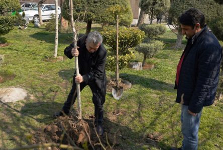 بهمن سبز ۳۰۰ نهال کاشت و اختتامیه فرهنگستان سینمای ایران برگزار شد.