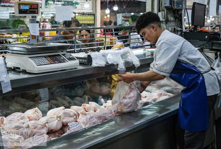 ثبات بازار گوشت مرغ؛ قیمت هر کیلو ۷۸ هزار تومان